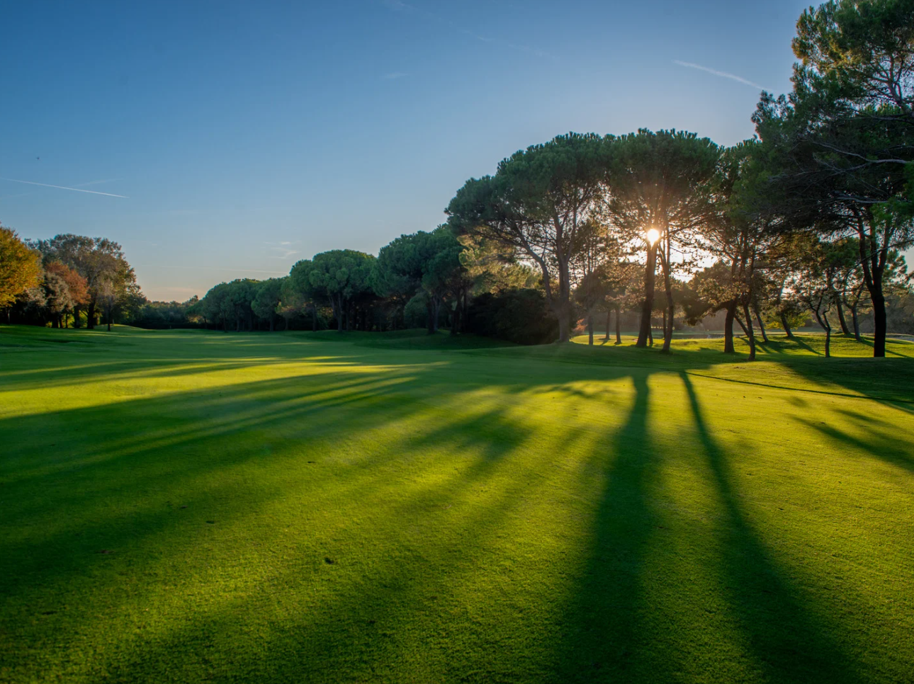Image of a golf course